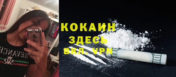 винт Пестово