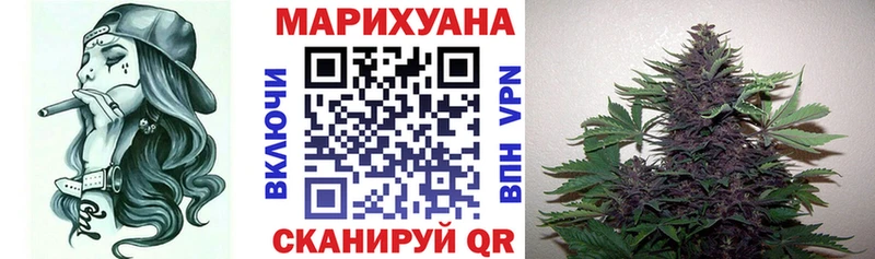 Каннабис сатива  Кириллов 
